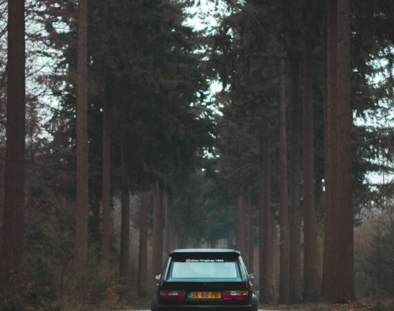 photo 1523564146079 b3fc6d3d2e32