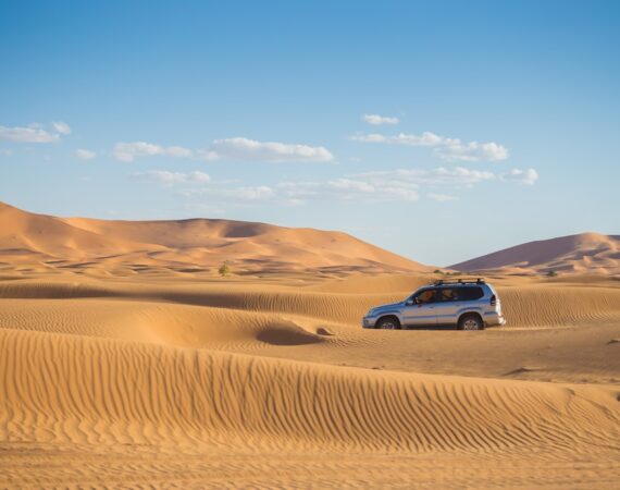 photo 1546274527 9327167dc1f5