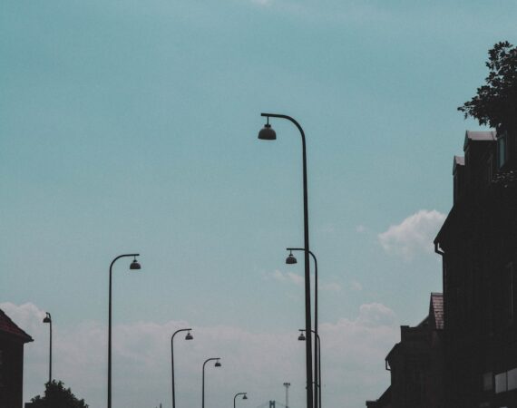 photo 1560494583 bc2d4c057e19