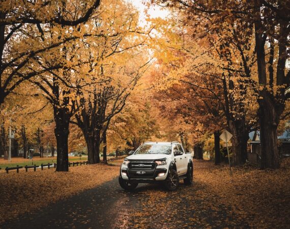 photo 1561200717 b7afef4de874