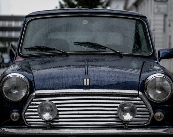 photo 1565608257407 008f1dd5b883