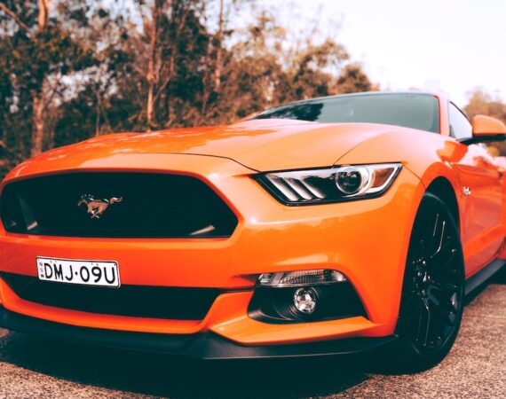 photo 1574904735613 d27b0559232c