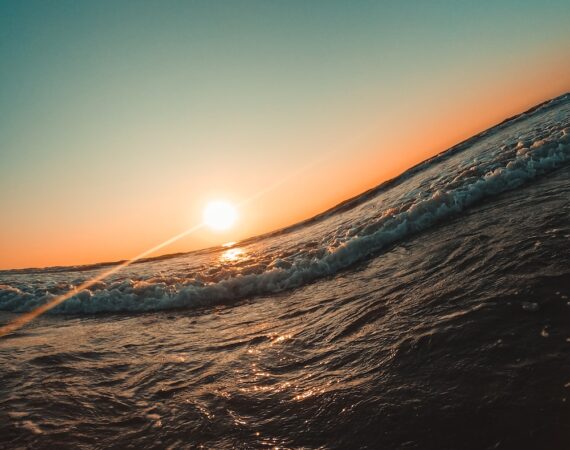 photo 1576359877473 d92bc837facc