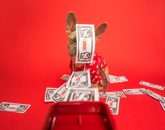 安全貸款之道:教你預防汽車貸款詐騙 5 photo 1583512603834 01a3a1e56241