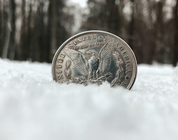 photo 1585347374528 f2a81c8693b3