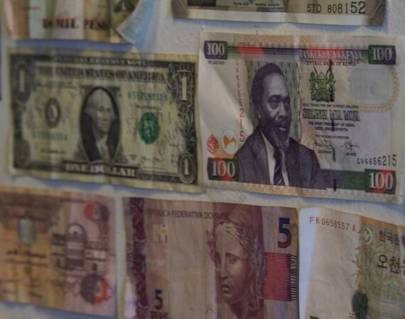 photo 1587837431646 ef5bf7476353