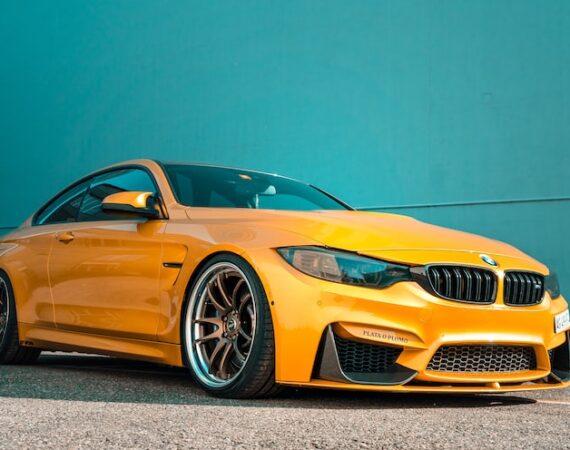 photo 1590424599820 0e7a41598db9