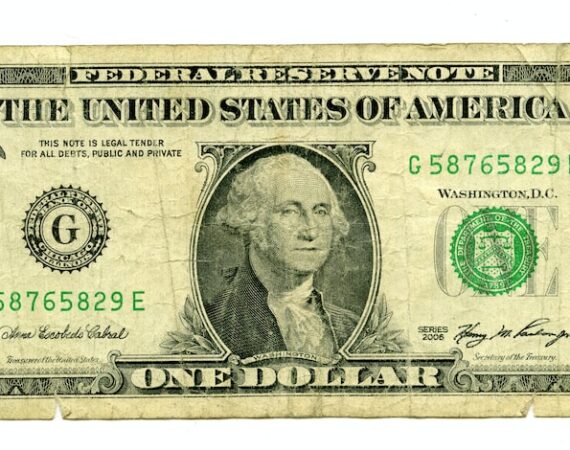 photo 1591537185130 42c4c19eb5e2