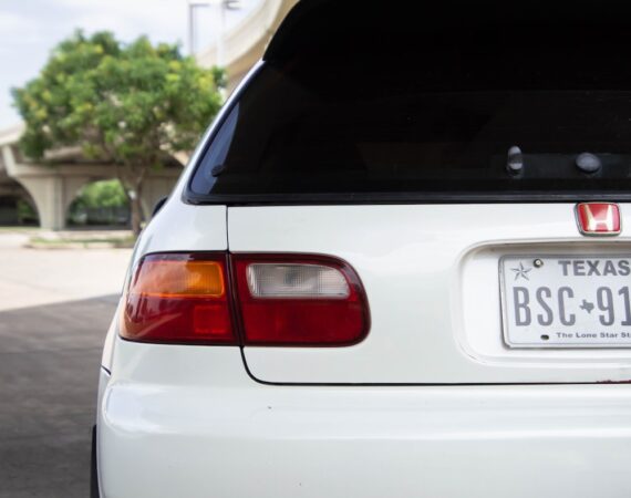 photo 1592163964712 9b710489ee54