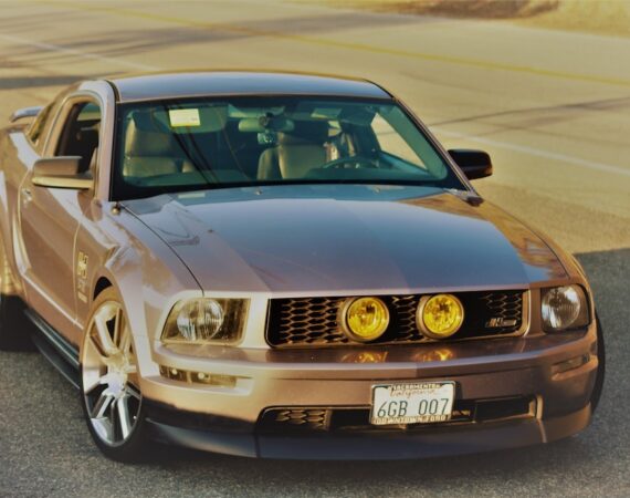 photo 1593329079070 b46f15ed6b5f