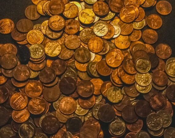 photo 1599038988300 2e3f04d87f8b