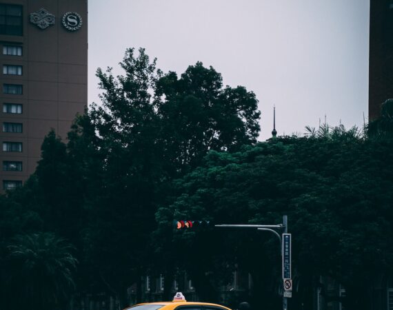 photo 1600817696521 6b5adf31c794