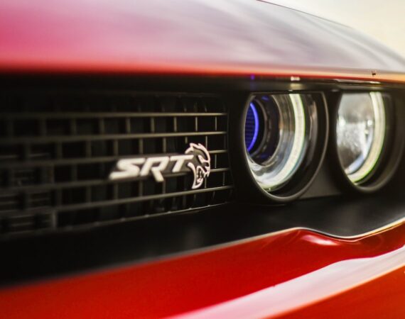 photo 1601945855821 94e053348fd5