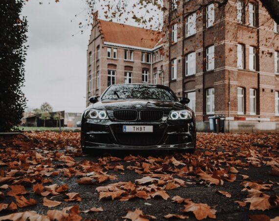 photo 1605131169260 c2c309a8a7a5