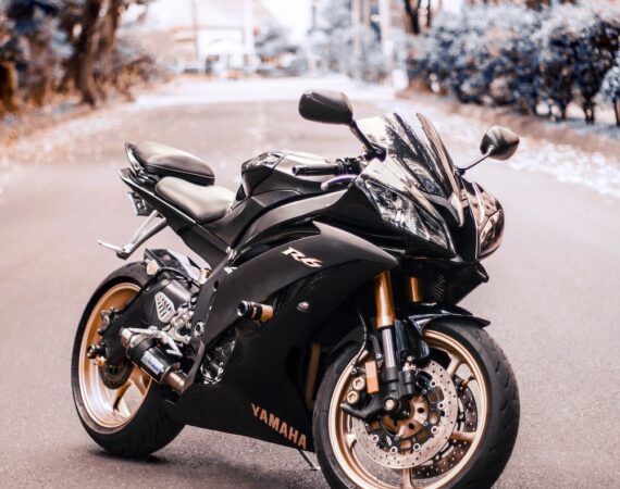 photo 1609993762317 efb7f704d85f