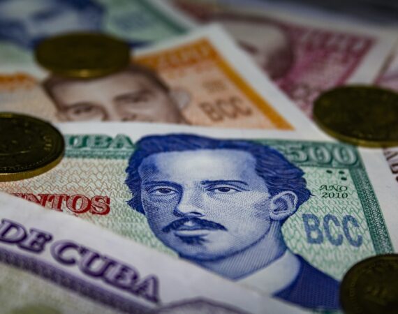 photo 1610720851063 b8ebc418b647