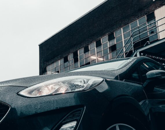 photo 1612633138105 9c72c0dd6a01