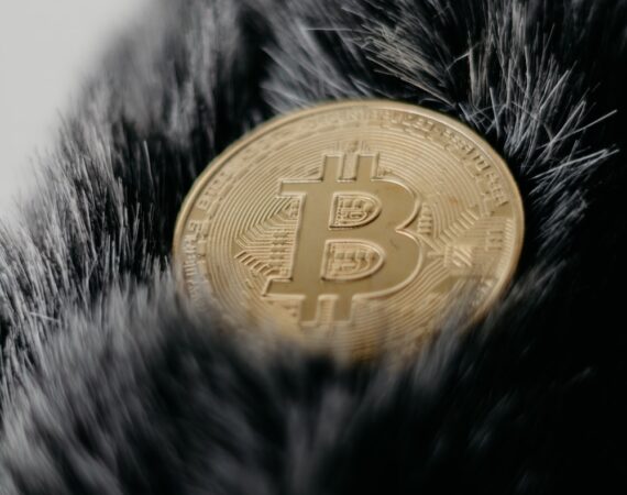 photo 1614533422292 c9c305e68469