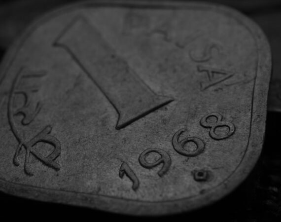 photo 1616338248680 f0682b6e4d14