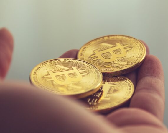 photo 1619287031648 546a26e1ab19