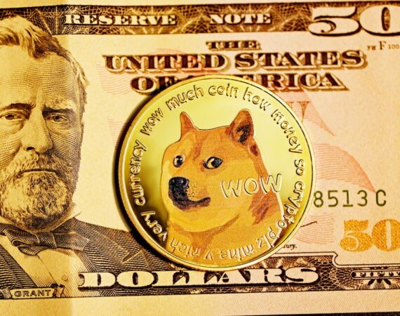 photo 1621932936282 c6da87b809f3