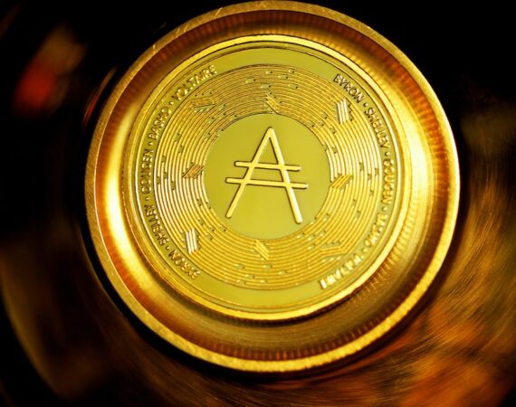 photo 1622538445776 5a6bcb695fe1