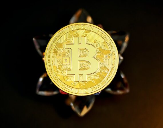 photo 1623834949765 03ff8005fb1d