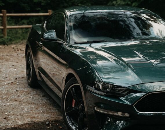 photo 1626945128210 5a3f30f06ae7