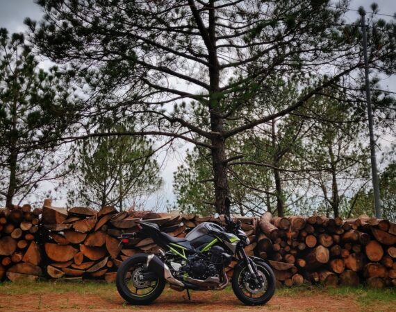 photo 1627204440629 f6f2b3b46c54