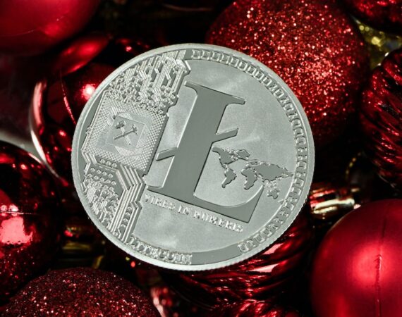 photo 1641959928811 9ebfd8f214c0