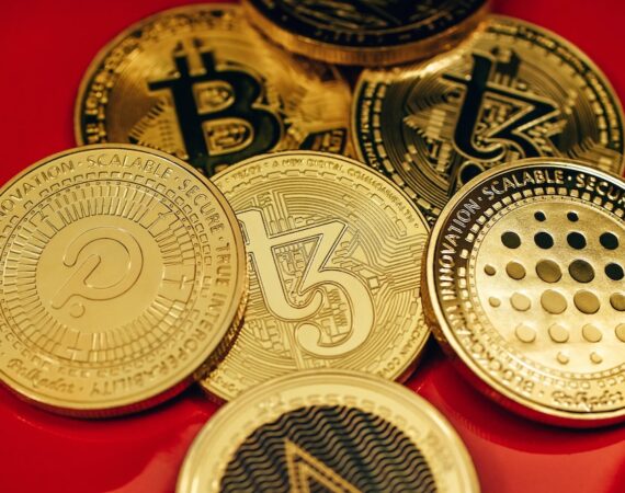 photo 1643357995071 c51a565b90d8