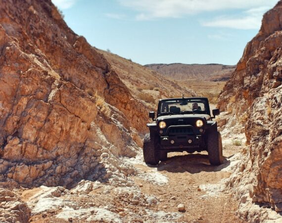 photo 1467489904517 075c242c2b4f