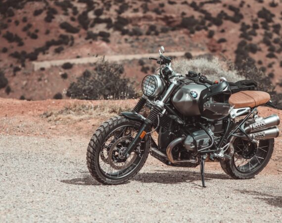 photo 1550966871 47324cfb6278