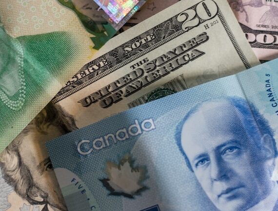 photo 1554475025 787dd4309d6b