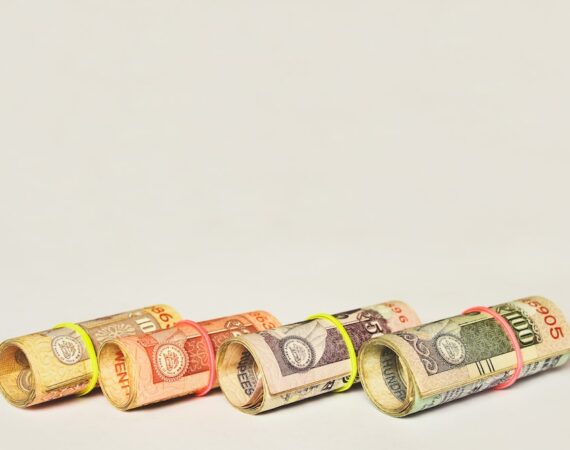 photo 1565514158882 617325fbd873