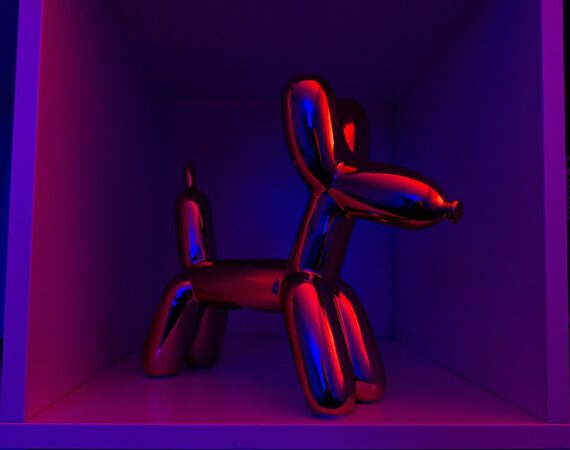 photo 1566405313195 ca50270dc05f