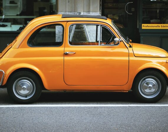 photo 1569692617277 e4fc03ce6992