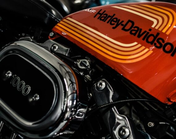 photo 1572220563305 3efa18e7a160