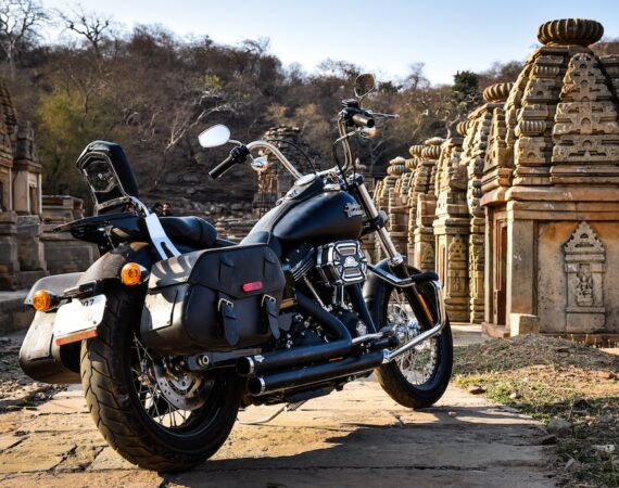 photo 1578354415856 33bb0f6419ae