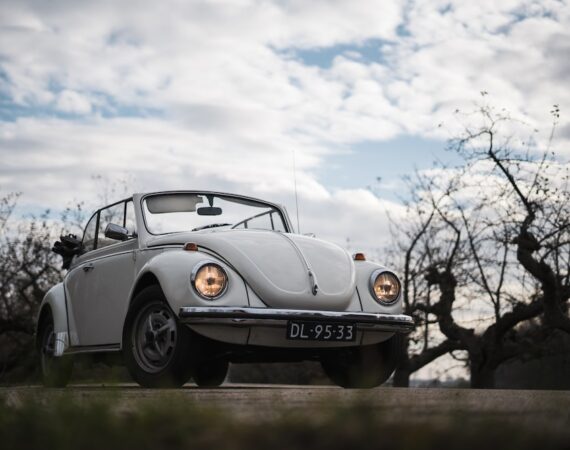 photo 1583068672340 d26dbc2d216a