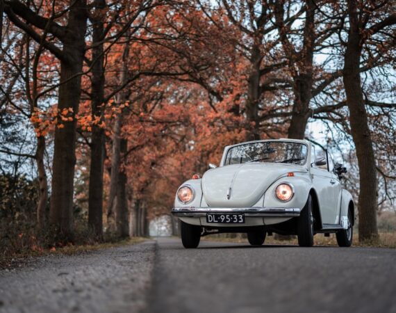 photo 1583068672446 951334b81e82