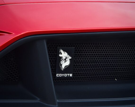 photo 1584842516356 ce41b07f8e04