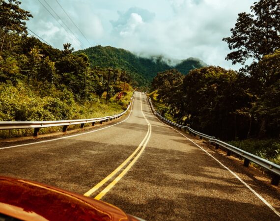 photo 1585537356475 63677cf3a7d3