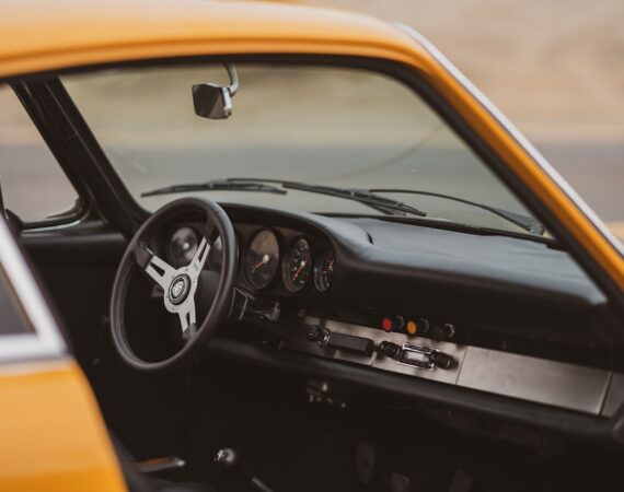 photo 1587214766085 49ffccb24e92