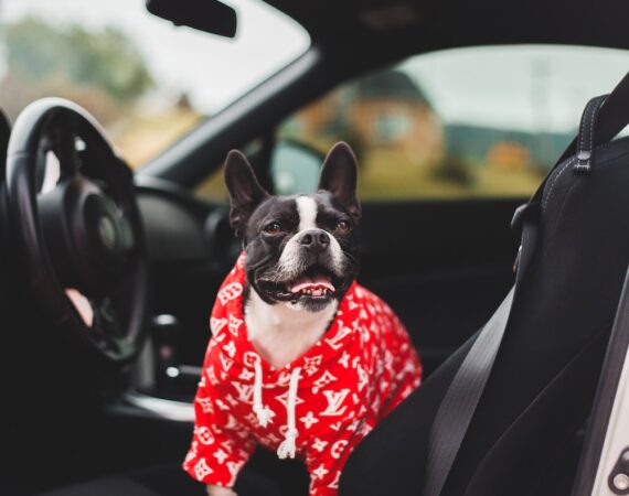 photo 1593297858385 1fa0a686f544