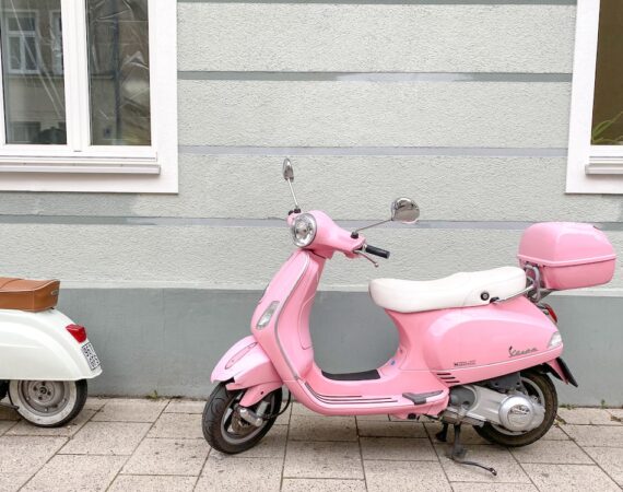 photo 1595185450074 cb1d1c7688a6