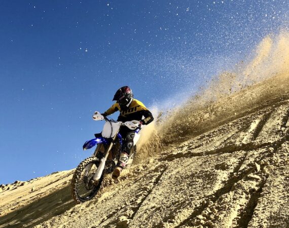 photo 1595272784243 ee3bcd91a819