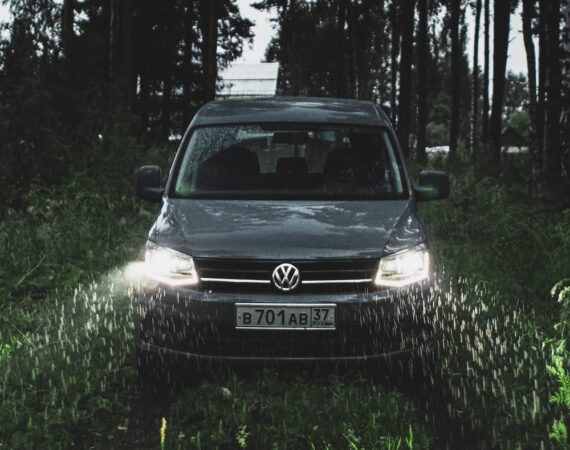 photo 1595535284514 7aa57200d3e7