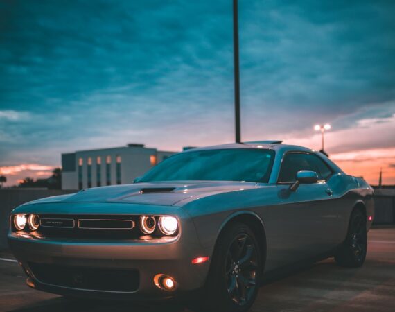 photo 1601827280216 d850636510e0