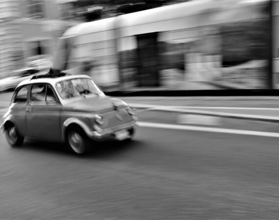 photo 1602148246340 1813f0234a6c